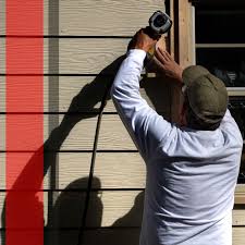 Best Historical Building Siding Restoration  in Fremont, MI